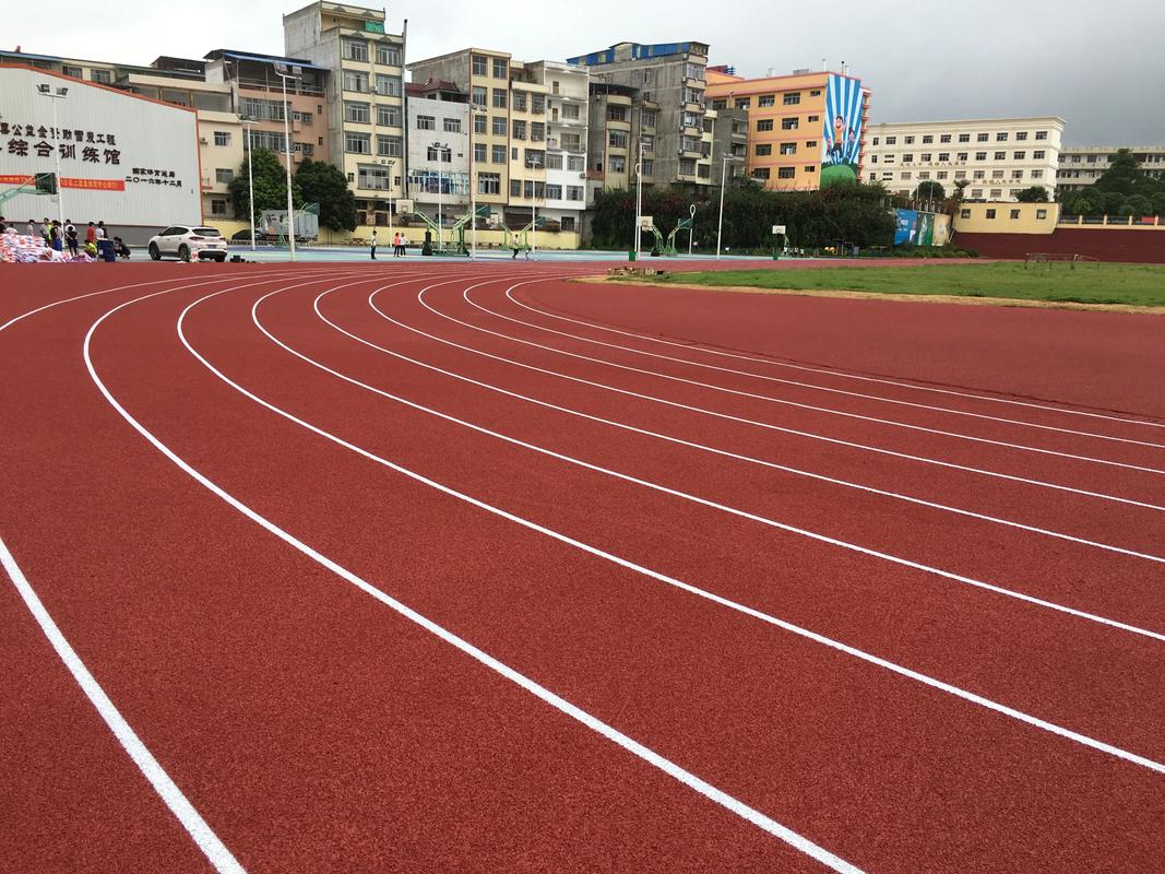 阜阳市硅PU塑胶跑道材料 - 价格